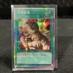 突然変異【PSE】FSN037のサムネイル