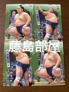 Item thumbnail for item 1b6c335f-7474-4608-b6e1-c81ba3aa1788