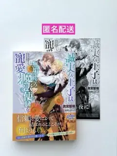 誠実な王子は無垢すぎる魔法使いを寵愛する【特典付き】 真宮藍瑠