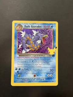 海外品　Dark Gyarados