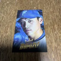 北海道日本ハムファイターズ ステッカー　野村祐希