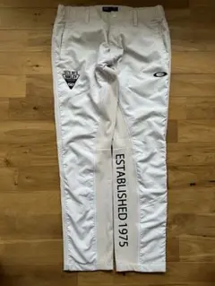 Item thumbnail for item 59729dd6-111d-4d9d-ab3a-90e9984f00b4