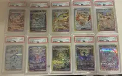 【ALL PSA10】10連番　テラスタルフェス　ブイズのサムネイル