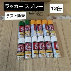 래커 스프레이 12 캔 대량 판매 페인트 건설 토목 공학 DIY