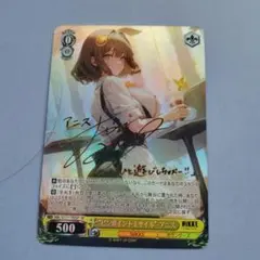 勝利の女神 NIKKE　ニケ　クリアブロマイド　アニス　箔押し　レア　希少 617TWN2BebL._AC_SY200_QL15_.jpg