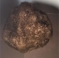 ベレー帽 イタリア製