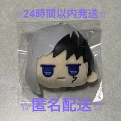 Dr.STONE ドクターストーン ぬいぐるみキーホルダー あさぎりゲン