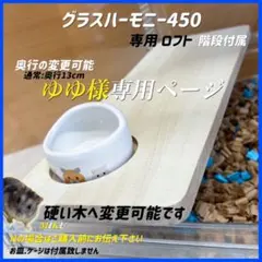 ゆゆ様専用オーダーページ グラスハーモニー450専用ロフト 階段付属