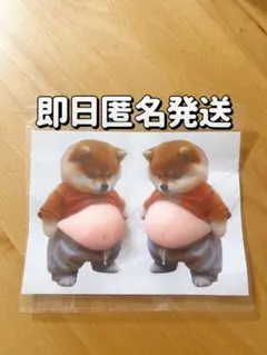 おなかぷにぷにシール　お腹　柴犬　スクイーズ　シリコン 2匹