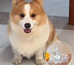 Item thumbnail for item 96d13be1-cca0-405e-bef1-cb3abaa3aa2c