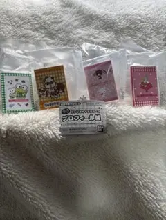 サンリオ　プロフィール帳　4種セット