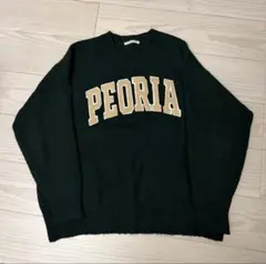 フリークスストア FREAKS STORE サガラワッペンロゴニット FREE