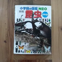 小学校の図鑑 NEO 新版 昆虫 DVD付き