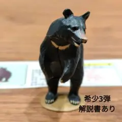 チョコq