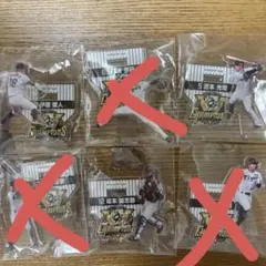 阪神タイガース アクスタくじ