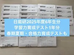 2026年最新】日能研 育成テストの人気アイテム - メルカリ