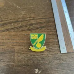 ノリッジ　ピンバッチ