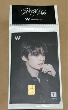 wowpass Stray kids スキズ　リノ　leeknow