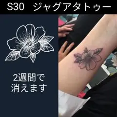 Item thumbnail for item 241e3fb7-dffa-4ebc-adeb-59824b3cd1b6