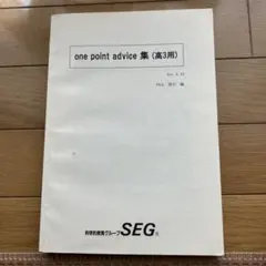 やまじい様　SEG SEA 物理　プリント　全範囲　大学受験 SEG SEA 物理 プリント 全範囲 大学受験 - メルカリ