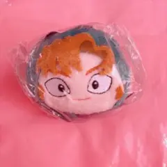 忍たま乱太郎 忍たま ぽてコロマスコット ぽてコロ 善法寺伊作