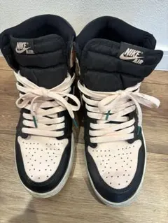 Nike Air Jordan 1 OG BLACK TINT 27.0