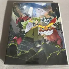 ポケモンカード　コレクションファイル　N エヌ