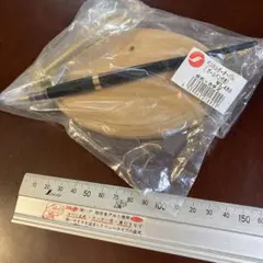 Item thumbnail for item 2a1b5678-f05c-4d4c-9eff-16af2a5f9e1b