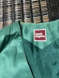 イッセイミヤケ ノーカラージャケット