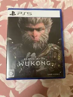 PS5 黒神話:悟空