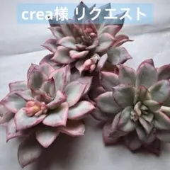 crea様 リクエスト 5点 まとめ商品