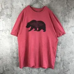 Y4544古着　Tシャツ 赤　ノースフェイス　90s Y2K
