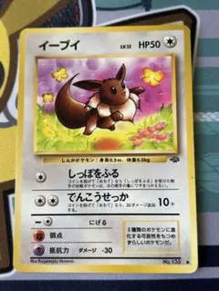 イーブイ ● 第2弾拡張パック ポケモンジャングル