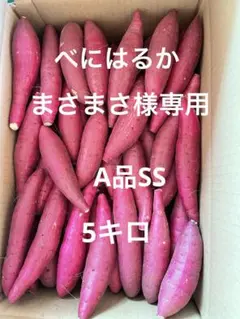 まさまさ様専用　A品SS 5キロ