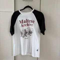 waikei Maltese Archive ラグランTシャツのサムネイル