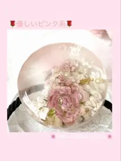 『0536』　プロフィール欄に定価半額商品あり‼️ 間も無く終了‼️‼️