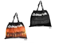 Item thumbnail for item 52fd934c-1140-44a9-a1e5-af573ed5d62b