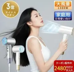 ドライヤー 速乾 大風量 マイナスイオン ヘアドライヤー ３段階調整 恒温ヘア