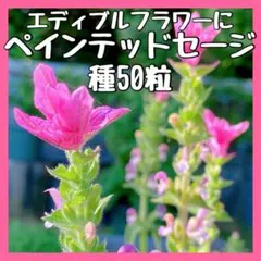 Juke Box様 リクエスト 3点 まとめ商品