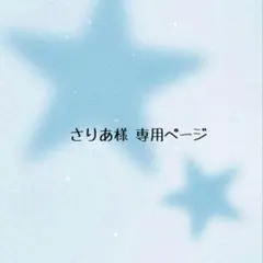 リケルメ様 専用ページ 手描き イラスト オーダー - メルカリ