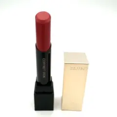 コフレドール スキンシンクロルージュ RD-229 口紅