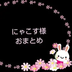 にゃこす(ΦωΦ)様 おまとめ