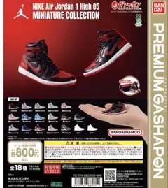 NIKE Air Jordan 1 ガチャ black toe