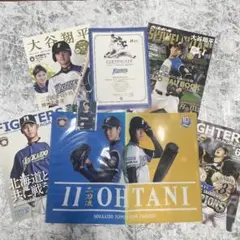 希少激レア　大谷翔平グッズまとめ売り　雑誌　観戦証明書　クリアファイル　野球