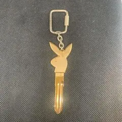 Item thumbnail for item 656192c5-2e75-4b70-ab1a-35acf58d190f