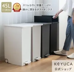 KEYUCA ケユカ 両開きダストボックス LL 42Lゴミ箱