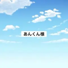 アメステ　あんくん様