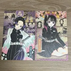 鬼滅の刃20巻ポストカード　胡蝶しのぶ　栗花落カナヲ