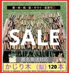 Item thumbnail for item 88ad0297-a723-41d7-8483-91d100aca375