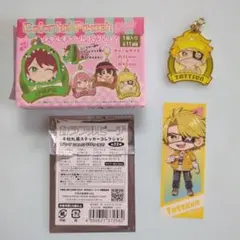 カラピチ　たっつん　メタルチャームコレクション☆千社札風ステッカー付き☆
